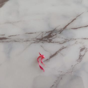 Namet Dana Sucukta Kötü Koku Ve Yabancı Madde Şoku