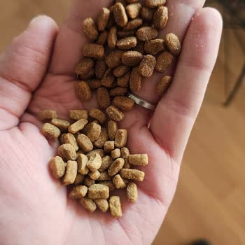 Sahte Kedi Maması Satışı Ve İade Sorunu: Trendyol'da Mağduriyet