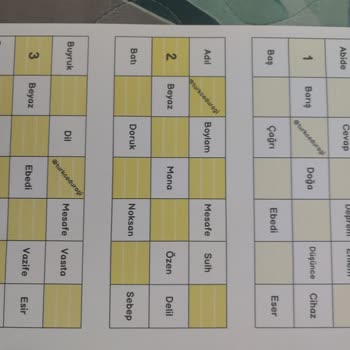 Brand New Epson L3251 Printing Only One Color