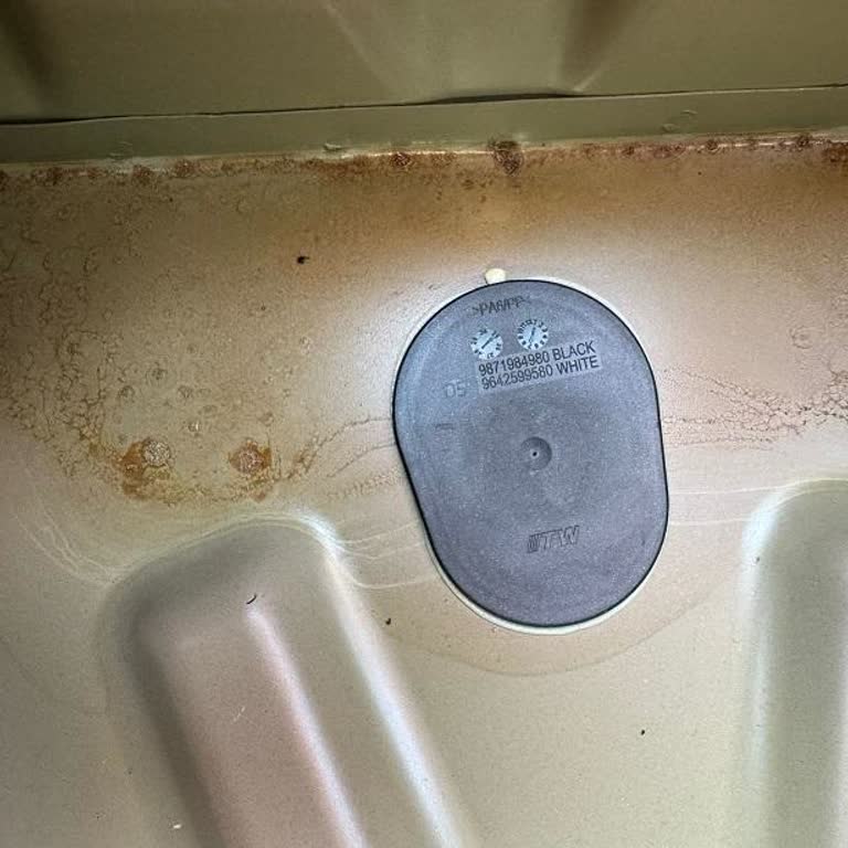 New Citroen C4X Rust And Paint Defects Found: Demand Replacement