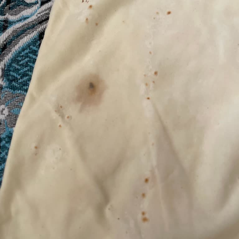 Nimet Hanımeli Yufkada Yabancı Madde Var