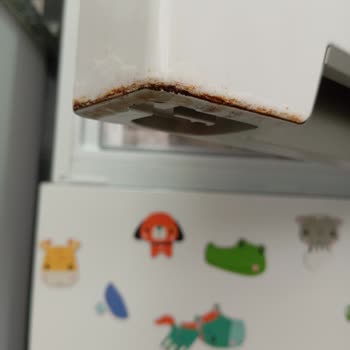 Vestel BM5302 Dishwasher And NFK52001 Fridge Rusting