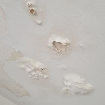 Tekrarlayan Su Sızıntısı Hasarında Sompo Sigorta'nın Ödeme Sürecindeki Sorunlar