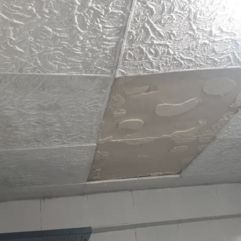 Tekrarlayan Su Sızıntısı Hasarında Sompo Sigorta'nın Ödeme Sürecindeki Sorunlar