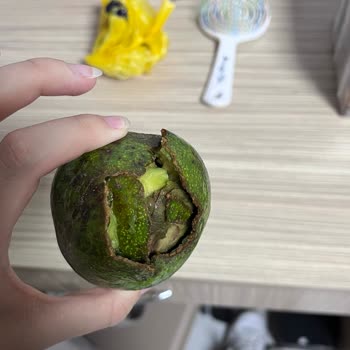 Çürük Avokado Teslimatı Ve Ücret İadesi Talebi