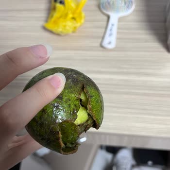 Çürük Avokado Teslimatı Ve Ücret İadesi Talebi