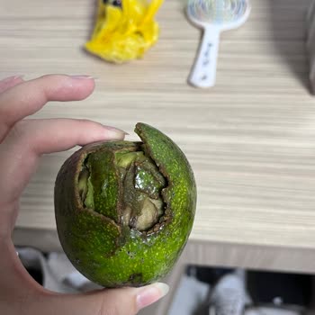 Çürük Avokado Teslimatı Ve Ücret İadesi Talebi