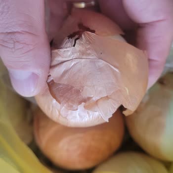 Eksik Ve Çürük Ürünler, Yetersiz Müşteri Hizmeti Ve İade Sorunu