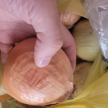 Eksik Ve Çürük Ürünler, Yetersiz Müşteri Hizmeti Ve İade Sorunu