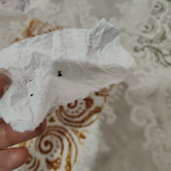 Duru Bulgur Beni Ciddi Anlamda Hayal Kırıklığına Uğrattı