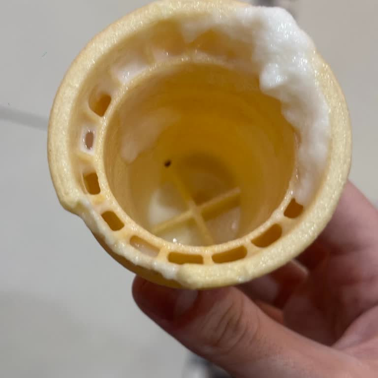 Dondurmadan Böcek Çıkması Hijyen Konusunda Endişe Yarattı