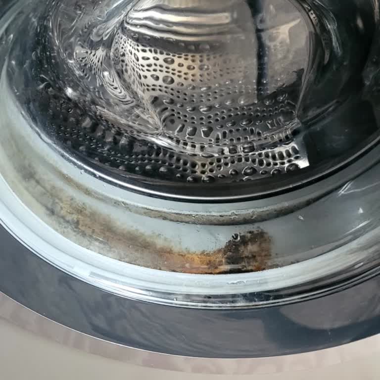 Bosch Serie 6 Çamaşır Makinesinde Kronik Körük Küflenmesi Sorunu