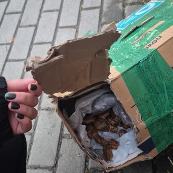 Aras Kargo Yalova Mimoza Şubesi'nde Teslimat Ve İletişim Sorunları