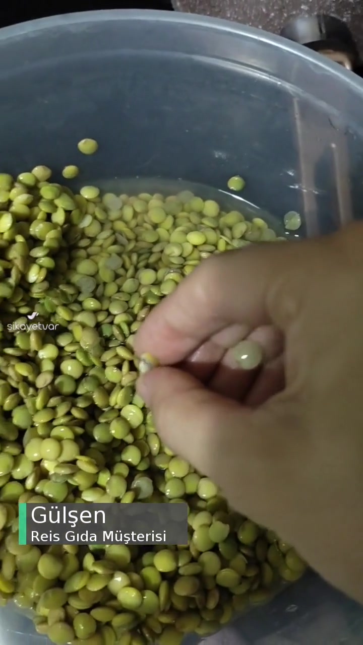 Reis Böcekli Yeşil Mercimek videonun kapak resmi