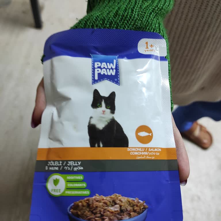 Fix Gross Bozuk Kedi Maması Nedeniyle Sağlık Ve Hijyen Endişesi Yaşadım!