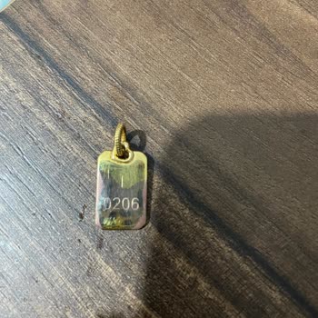 1 Haftada Renk Atan Pandora Kolye Ucu Ve Yetersiz Garanti Desteği