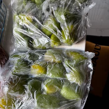 Vestel Buzdolabında Bitmeyen Arıza Ve Mağduriyet