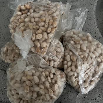 Vestel Buzdolabında Bitmeyen Arıza Ve Mağduriyet