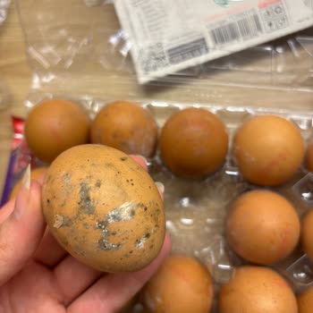 Onur Market Bozuk Yumurta İadesi Reddedildi Mağduriyetim Giderilmiyor