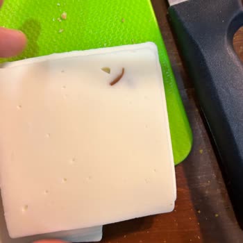 Aldığım Kaşar Peynirin İçinde Yabancı Cisim Çıktı Hijyen Ve Sağlığım Tehlikede