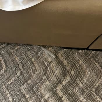 Çankaya Suit Hotel Oda Temizliği Sorunu!