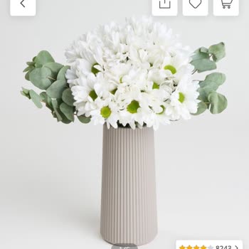 Çiçek Sepeti Siparişim Görseldeki Gibi Gelmedi Mağdur Oldum