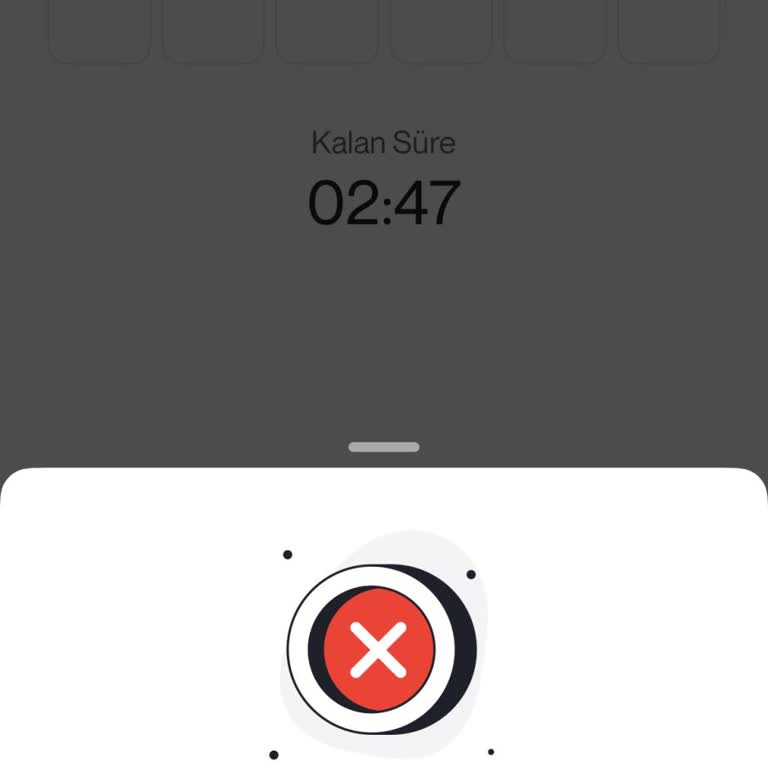 Papel Uygulamasına Giriş Yapılamıyor Ve Hesaptaki Paraya Ulaşılamıyor