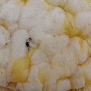 Çocuk Ürününde Yabancı Madde Tespiti Ve Güven Kaybı