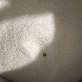 Petek Kristal Toz Şeker Şikayeti