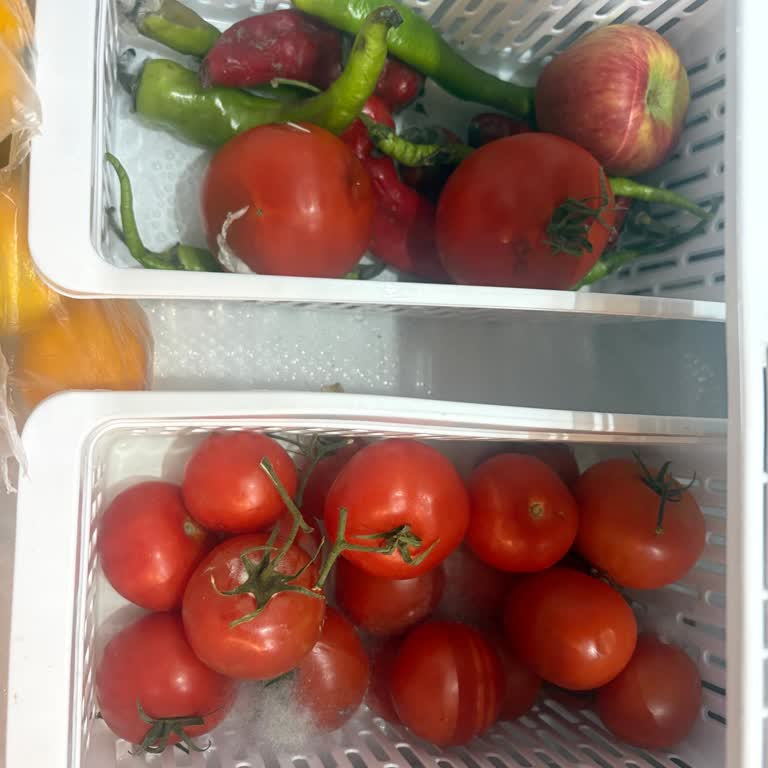 Yeni Alınan Bosch Buzdolabında Sürekli Arıza Ve Çözüm Eksikliği