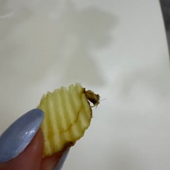 Cips Paketinden Kızarmış Böcek Şoku!
