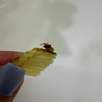 Cips Paketinden Kızarmış Böcek Şoku!