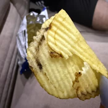 Cips Paketinden Kızarmış Böcek Şoku!