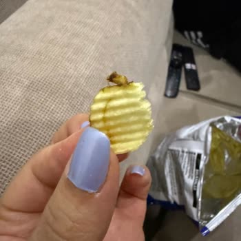 Cips Paketinden Kızarmış Böcek Şoku!