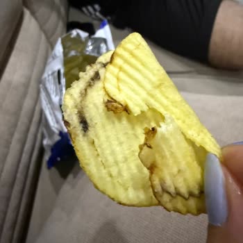 Cips Paketinden Kızarmış Böcek Şoku!