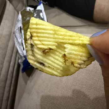 Cips Paketinden Kızarmış Böcek Şoku!