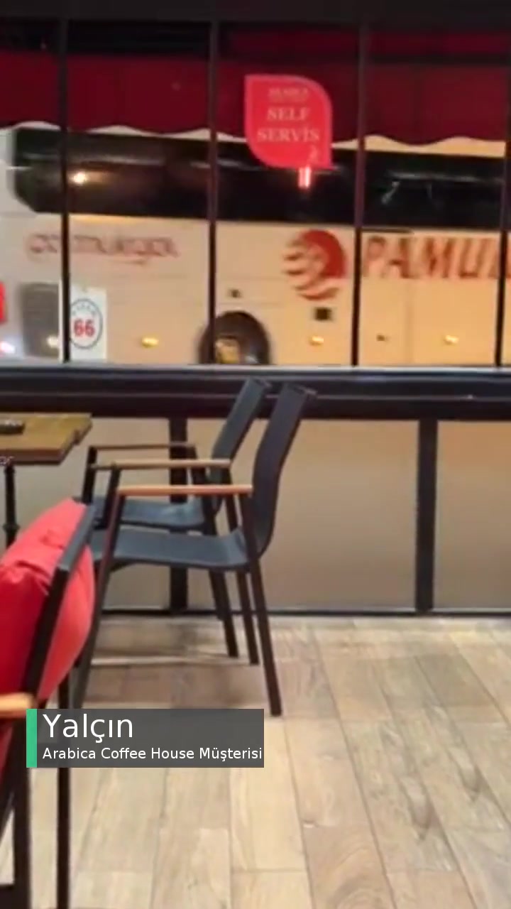 Arabica Coffee House Müşteri Ayrımı Yapılıyor, Sigara İçmeyenleri İçeriye Alıyorlar! videonun kapak resmi
