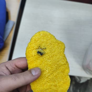 Lezita Nugget Ürününde Yabancı Madde Ve Kötü Koku Şikayeti