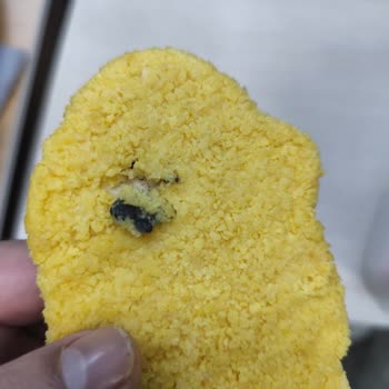 Lezita Nugget Ürününde Yabancı Madde Ve Kötü Koku Şikayeti