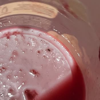 Aldığım Yoğurttan Böcek Çıkması Ve Migrosun İlgisizliği