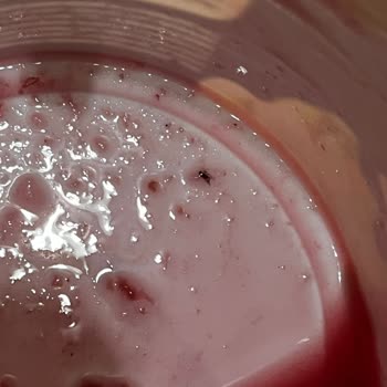 Aldığım Yoğurttan Böcek Çıkması Ve Migrosun İlgisizliği