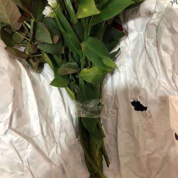 Sipariş Edilen Güller Beklentileri Karşılamadı, Eksik Ve Kalitesiz Ürün Teslimatı