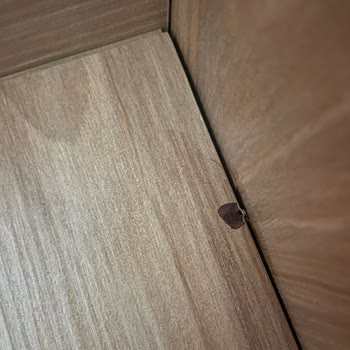 Mobilya Montaj ve Kalite Şikayeti