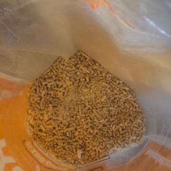 Kavi Pelet Ürünlerinde Yanma Ve Kalite Sorunu Nedeniyle Mağduriyet!