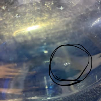 Yemeksepeti Market Damacanada Yabancı Maddeyle Karşılaşınca Sağlığım Tehlikeye Girdi!