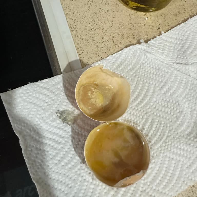 Tarım Kredi Market'ten Aldığım Yumurtaların Bozuk Çıkması Ve Denetim Eksikliği