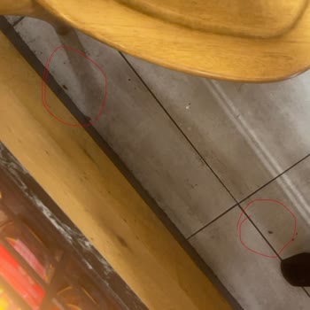 Sabiha Gökçen Maça Cafe'de Ciddi Hijyen Sorunu Ve Yetersiz Müdahale