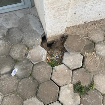 Fiber İnternet Çalışması Sonrası Apartman Önünde Oluşan Mağduriyet