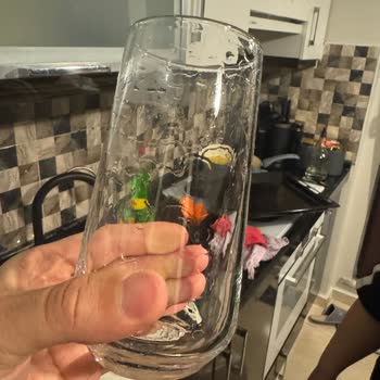 Bulaşık Makinesinde Temizlik Ve Kurutma Sorunu, Yetersiz Servis Deneyimi