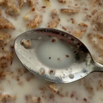 Nestle Balla Bademli Gevrekten Çıkan Böcekler Ve Hijyen Sorunu